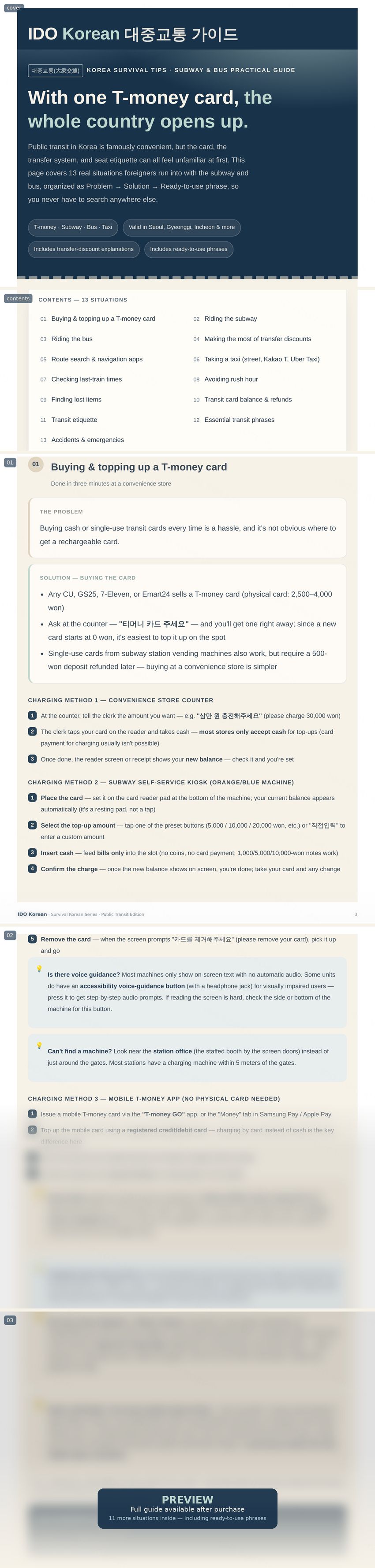 Public Transit Guide preview